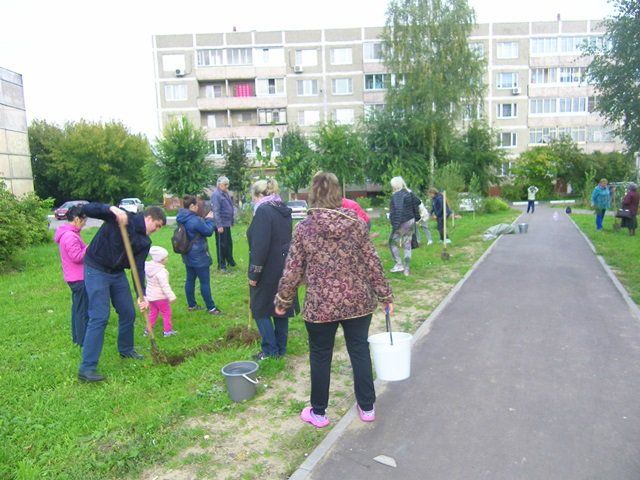 Изображение 033.jpg Изображение 033.jpg